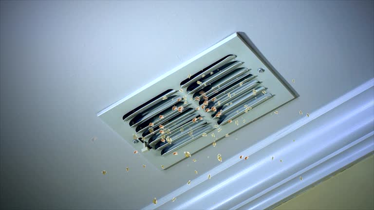 Best Affordable HVAC Duct Cleaning  in St Hedwig, TX