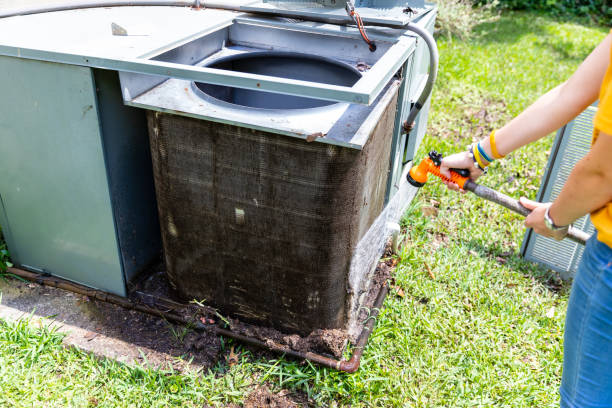 Best Air Vent Cleaning Services  in St Hedwig, TX