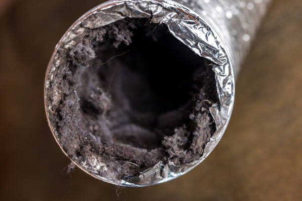 Best Residential Air Duct Cleaning  in St Hedwig, TX